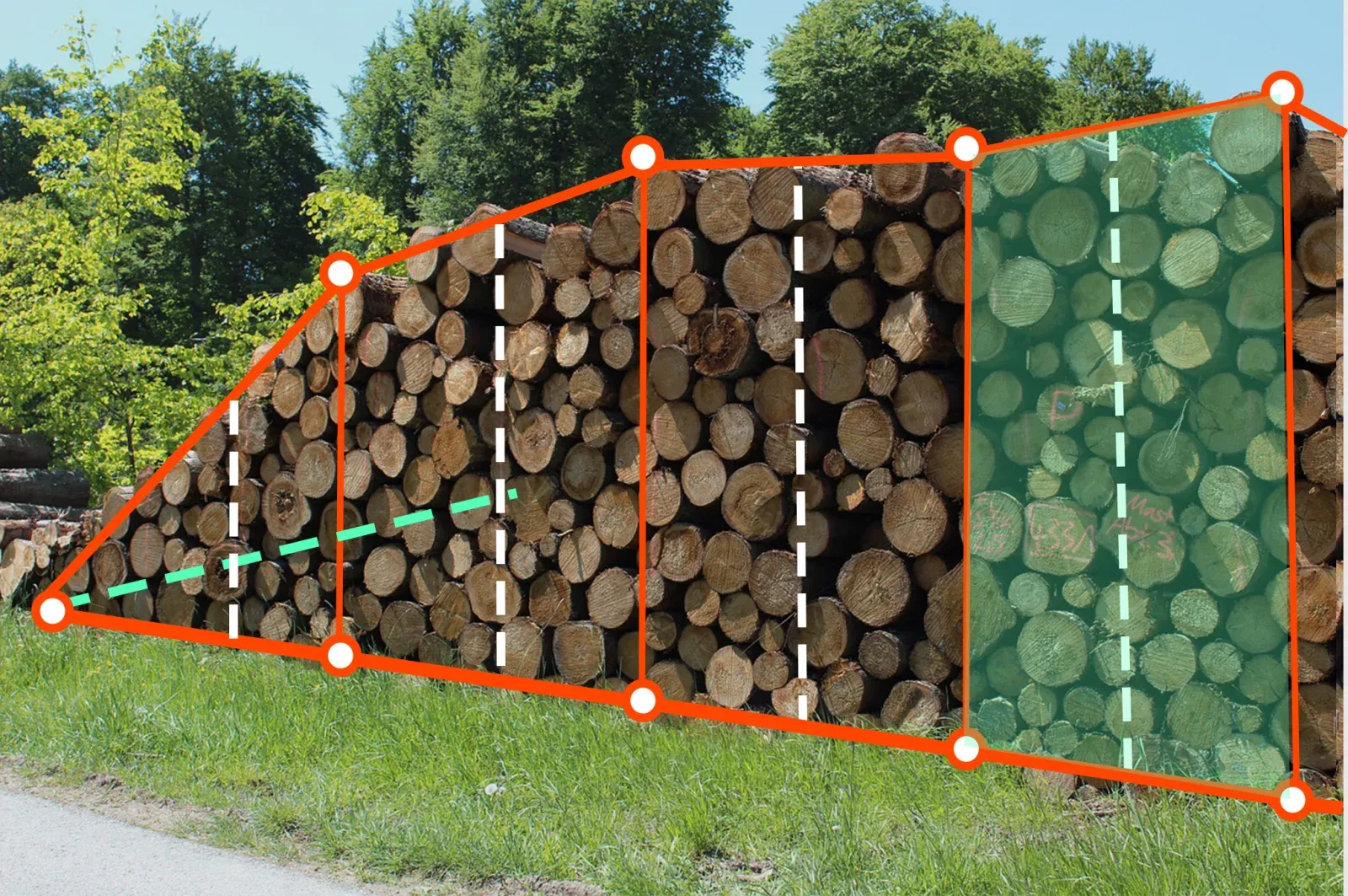 Digitale Holzvermessung mit Forstify