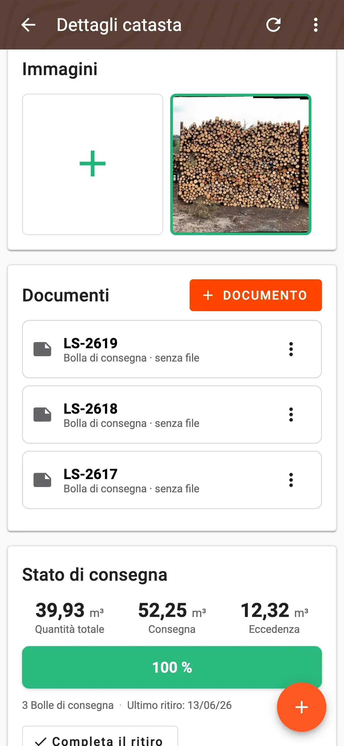 Elenco documenti nella pagina di dettaglio della catasta con bolla di consegna, fattura, misurazione in segheria e altro