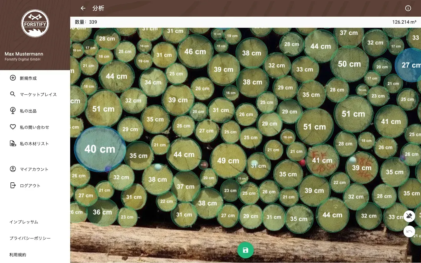 Forstify Measurement – AI-assisted log counting and measurement from a panorama photo