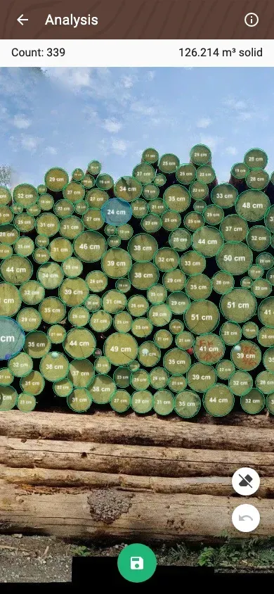 Forstify Measurement – AI-assisted log counting and measurement from a panorama photo