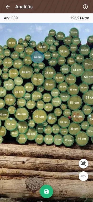 Forstify Measurement – AI-assisted log counting and measurement from a panorama photo