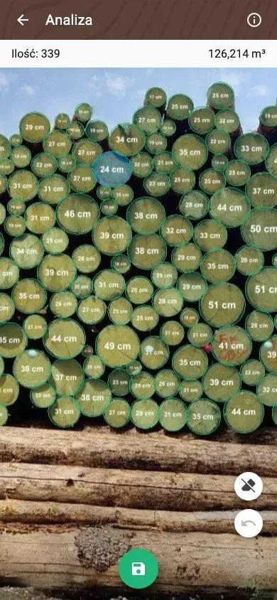 Forstify Measurement – AI-assisted log counting and measurement from a panorama photo