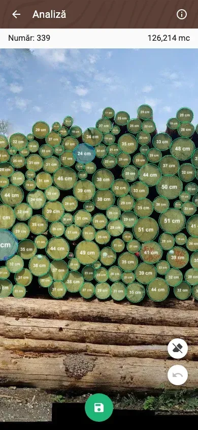 Forstify Measurement – AI-assisted log counting and measurement from a panorama photo