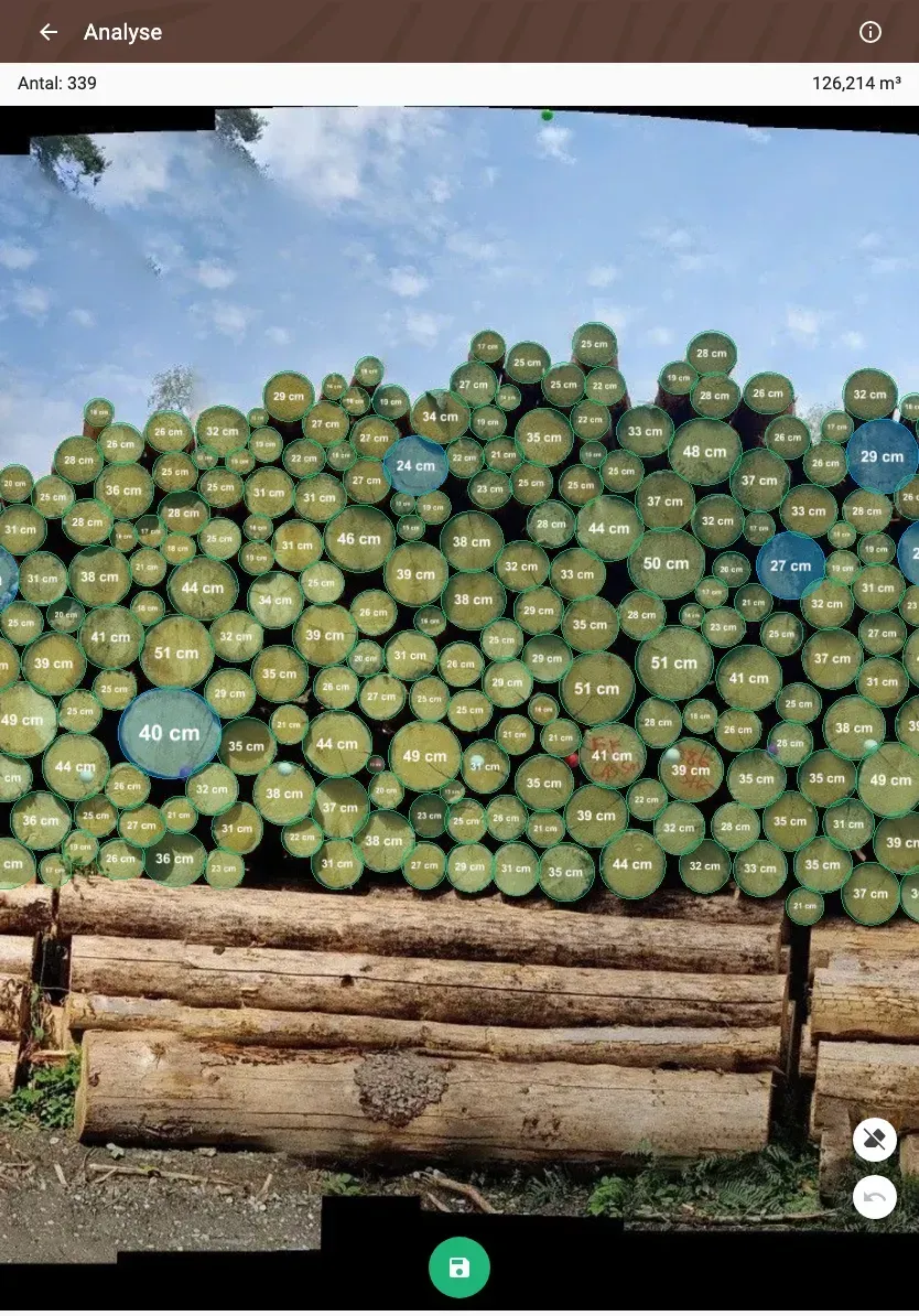 Forstify Measurement – AI-assisted log counting and measurement from a panorama photo