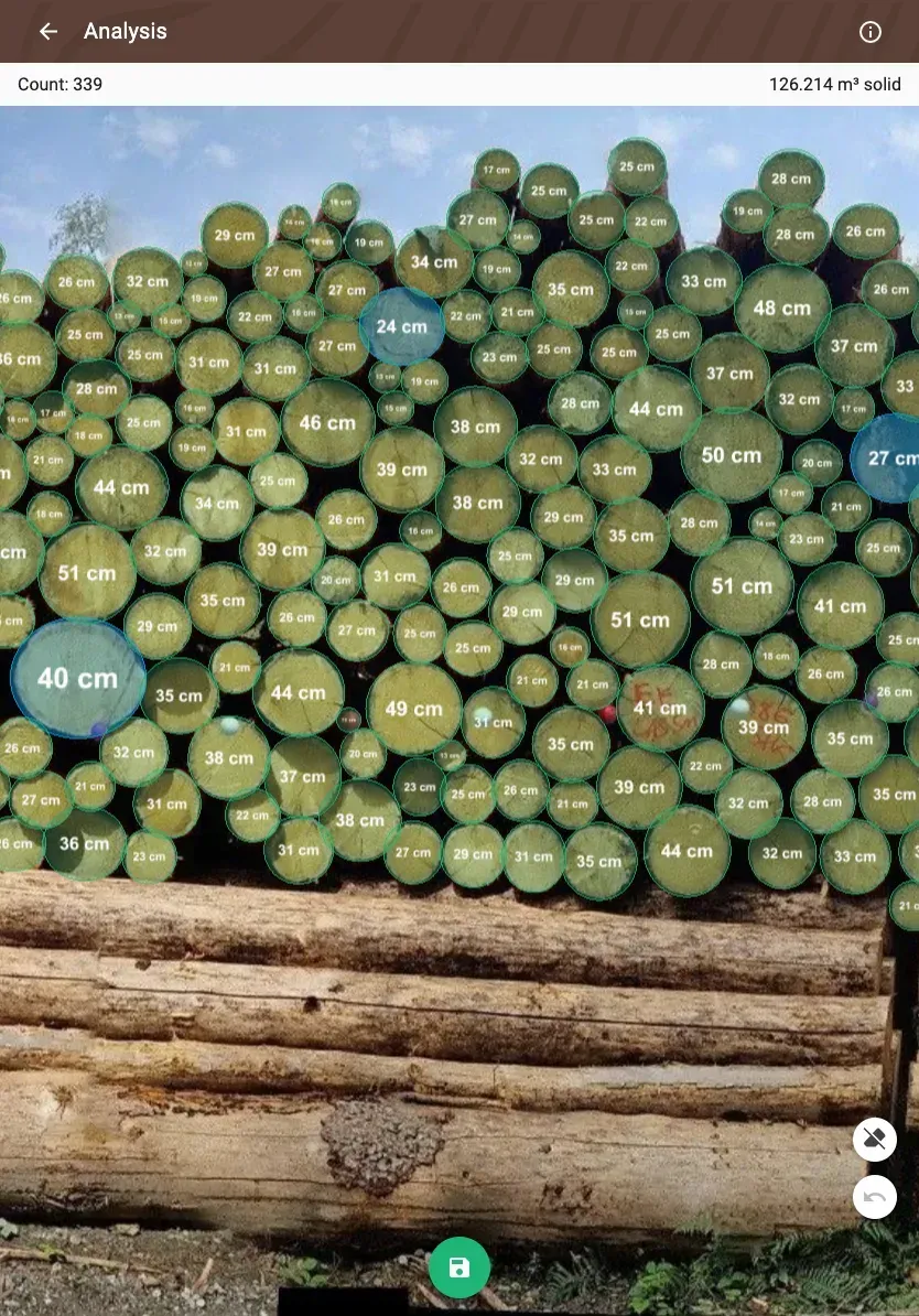 Forstify Measurement – AI-assisted log counting and measurement from a panorama photo
