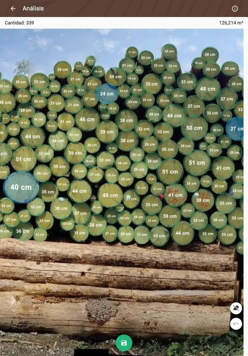 Forstify Measurement – AI-assisted log counting and measurement from a panorama photo