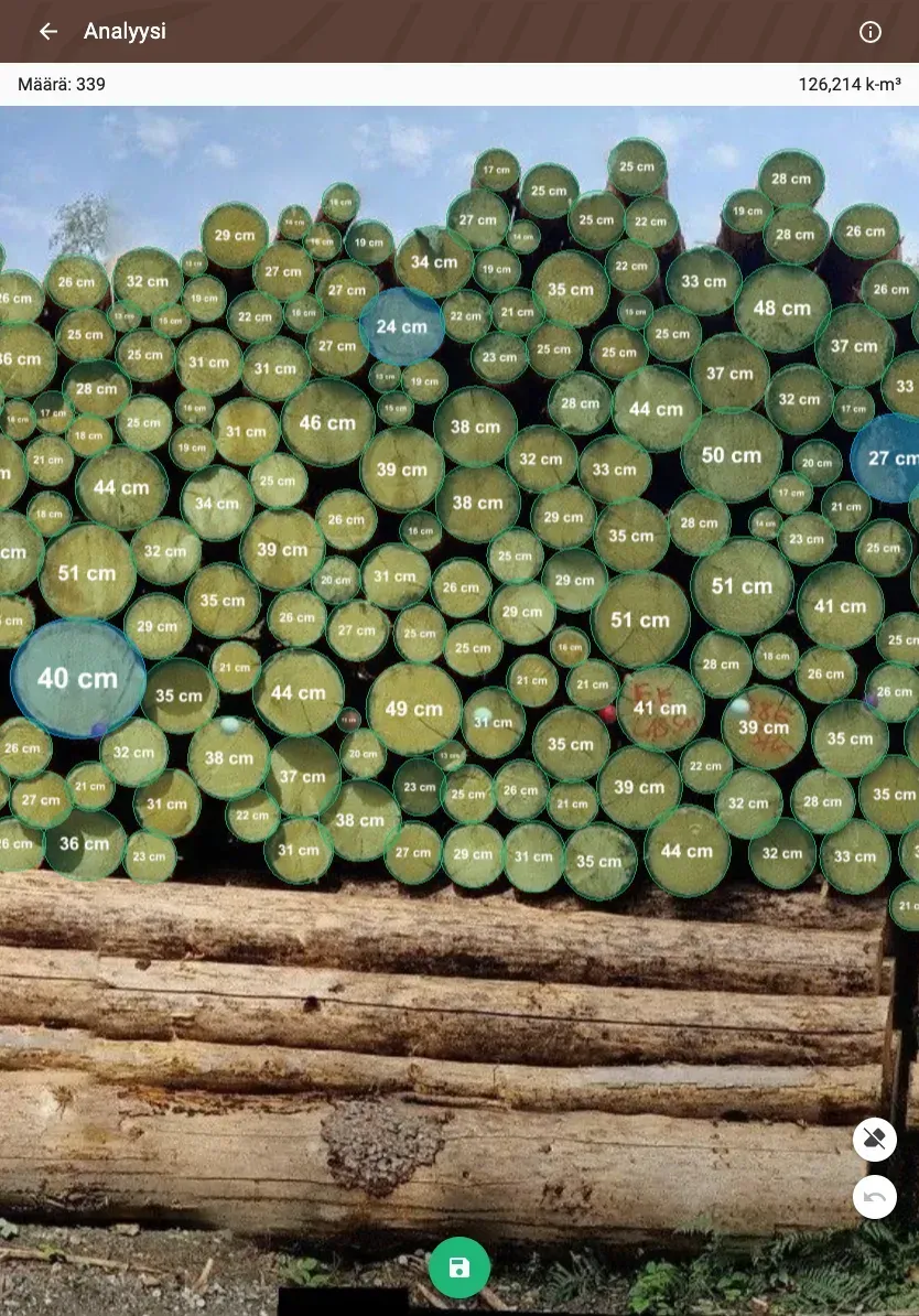 Forstify Measurement – AI-assisted log counting and measurement from a panorama photo
