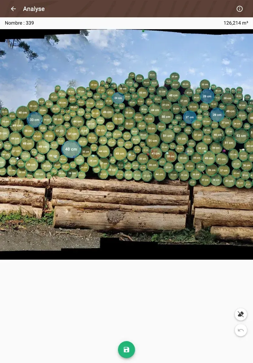 Forstify Measurement – AI-assisted log counting and measurement from a panorama photo