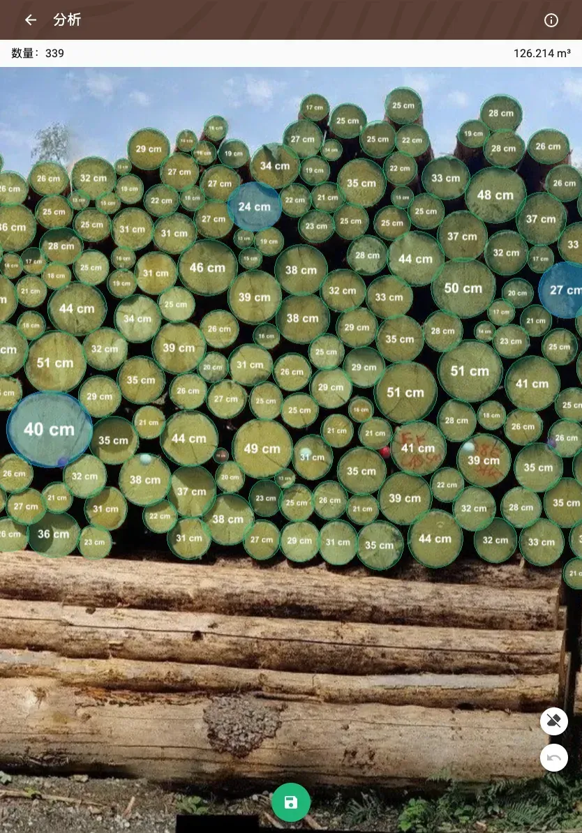 Forstify Measurement – AI-assisted log counting and measurement from a panorama photo