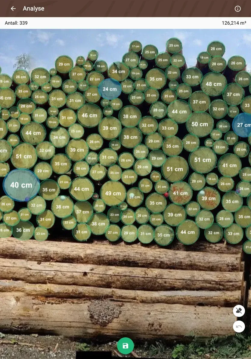 Forstify Measurement – AI-assisted log counting and measurement from a panorama photo
