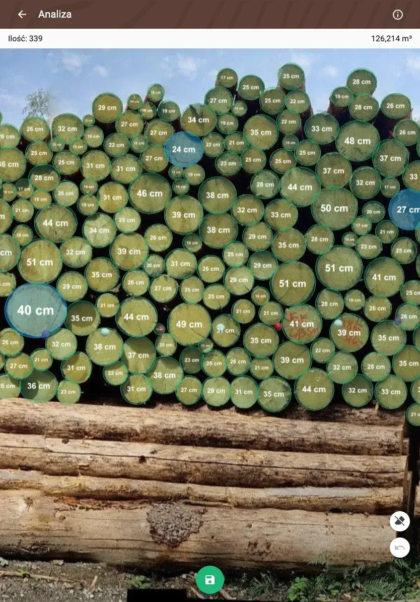 Forstify Measurement – AI-assisted log counting and measurement from a panorama photo