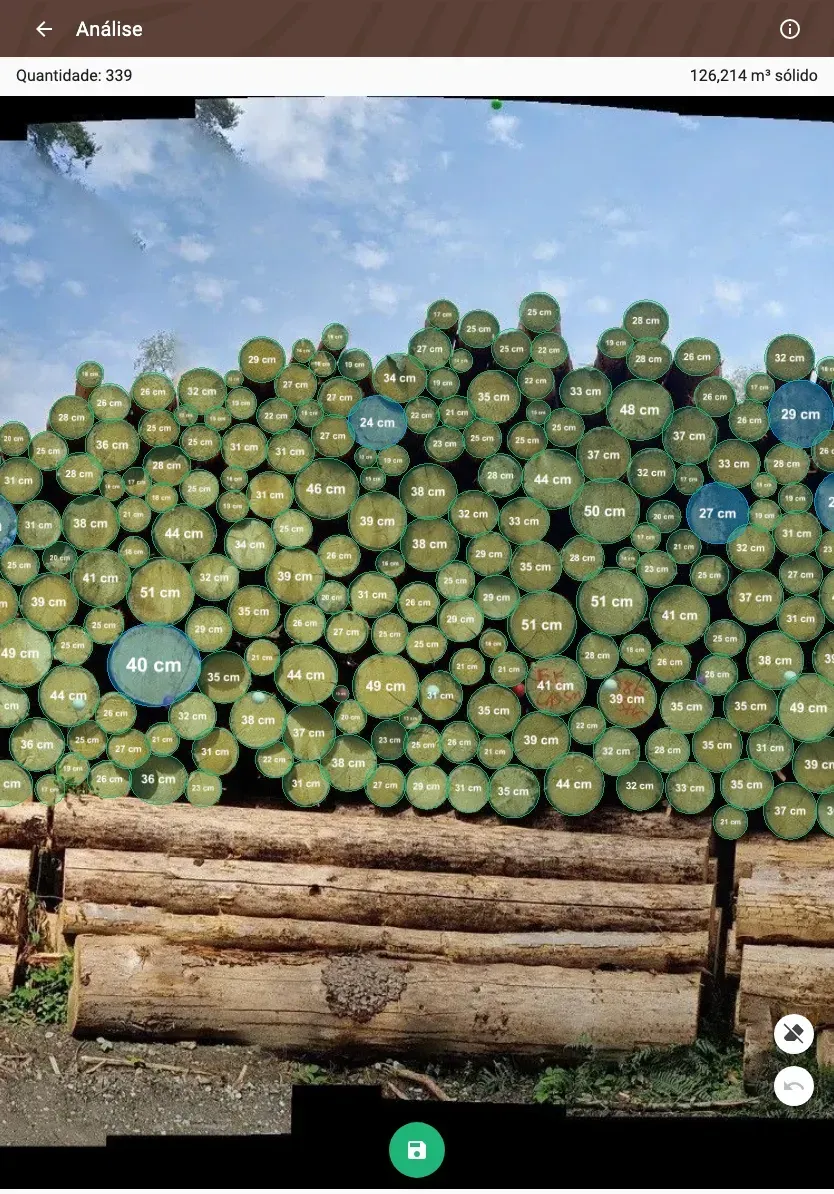Forstify Measurement – AI-assisted log counting and measurement from a panorama photo