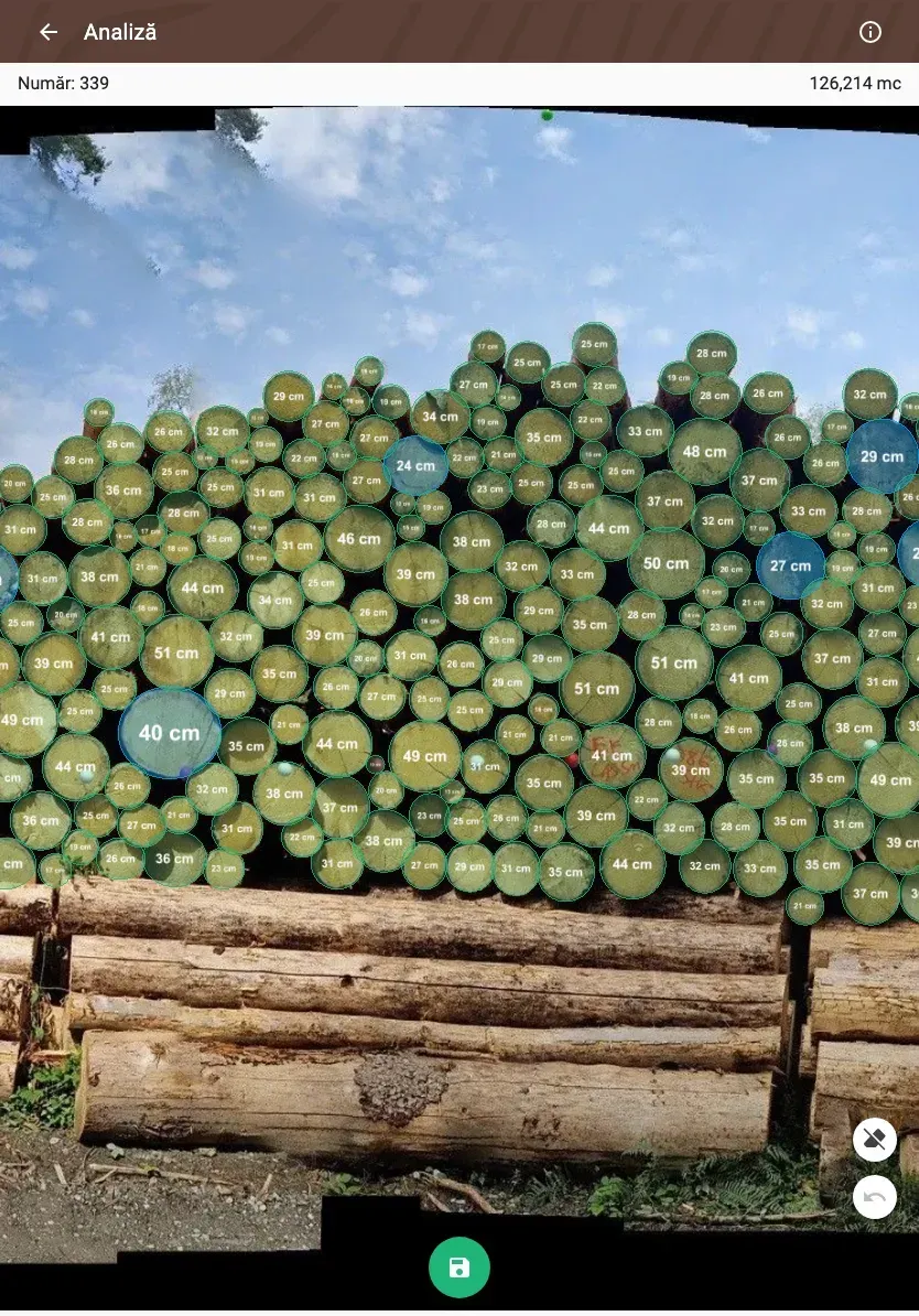 Forstify Measurement – AI-assisted log counting and measurement from a panorama photo