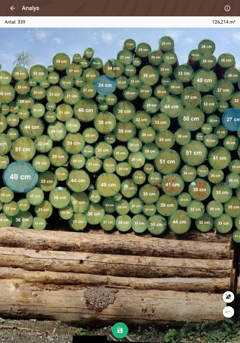 Forstify Measurement – AI-assisted log counting and measurement from a panorama photo