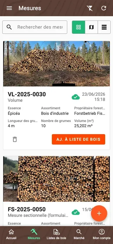 Aperçu des Mesures dans le nouveau design en tuiles de l'application Forstify
