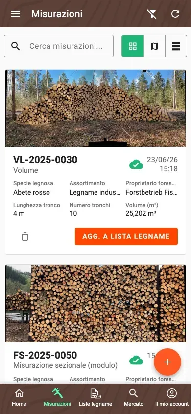 Panoramica delle Misurazioni nella nuova vista a schede dell'app Forstify