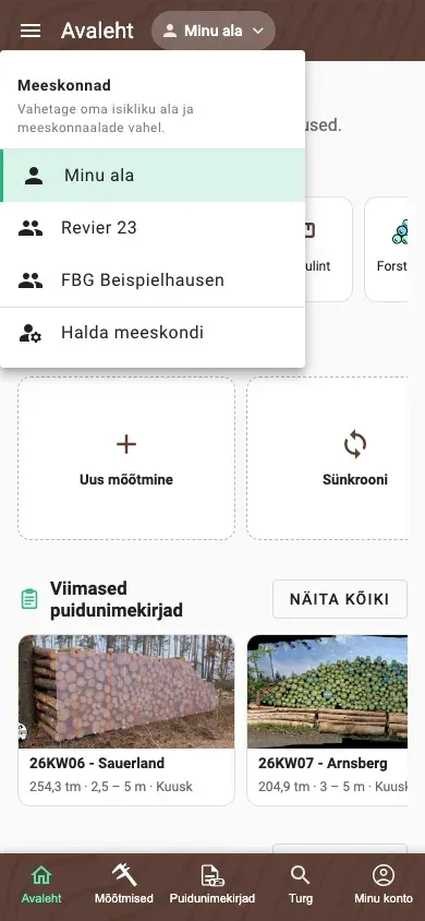Alavahetaja isikliku ala ja kahe meeskonnaalaga