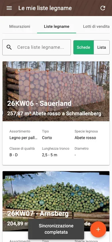 Panoramica delle liste legname con ricerca